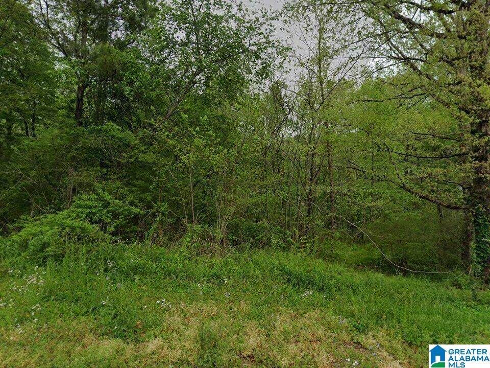 3477 Cedarbrook Circle - Photo 1