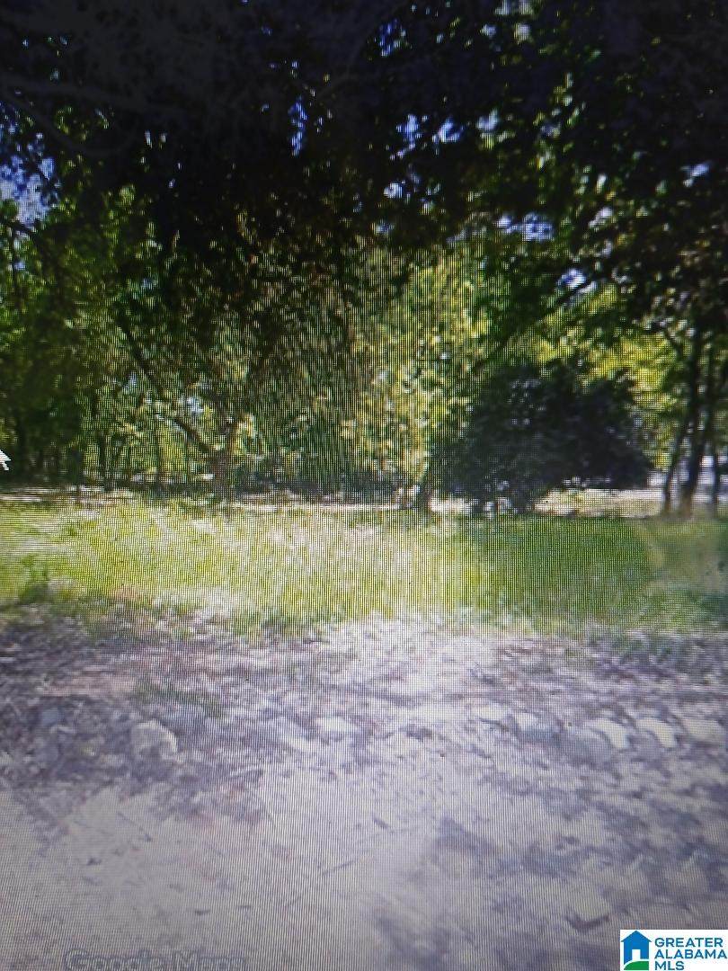 5431 Cairo Avenue - Photo 1