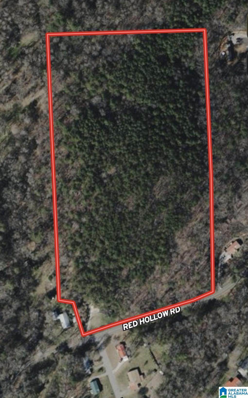 X 5500 Red Hollow Road - Photo 1