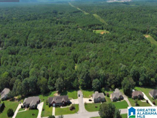 3515 Lone Oak Lane - Photo 1