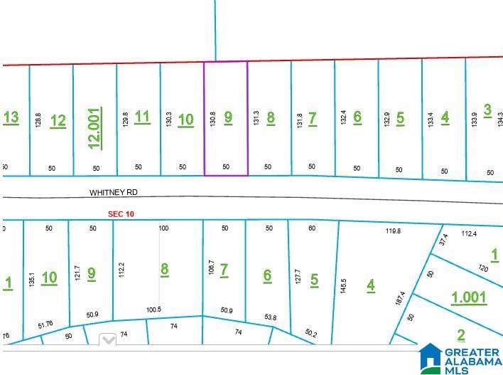 213 Whitney Road - Photo 1