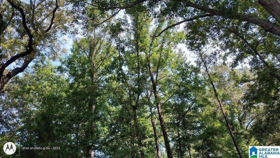  Lake View Drive - Photo 1