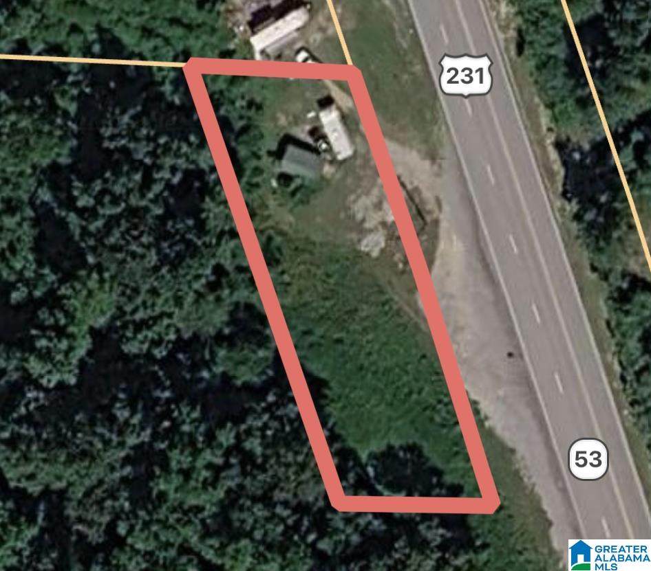 0 Us Hwy 231 - Photo 1