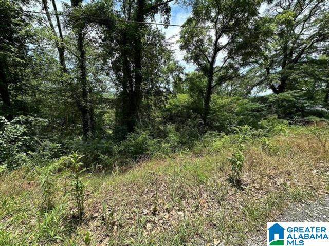 2231 43RD AVENUE - Photo 1