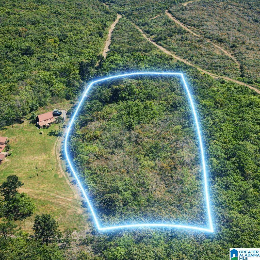 00 Whisenant Road - Photo 1