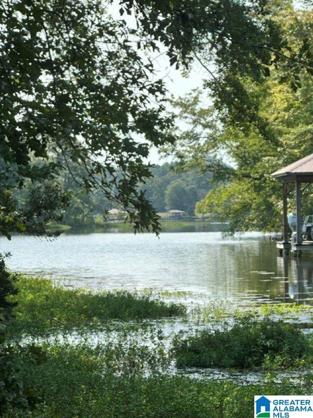 Lot #1 Mallory Circle - Photo 1