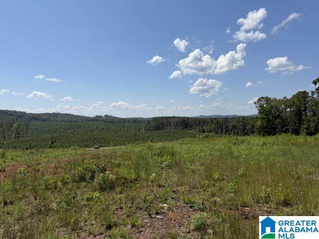 TBD Grissom Ferry Road - Photo 1