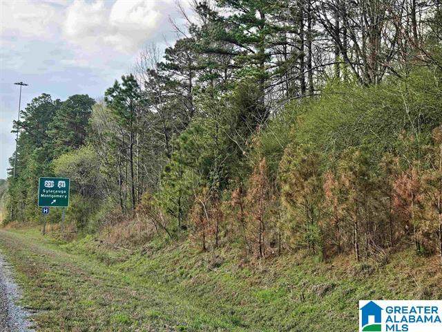 0 Highway 280 - Photo 1