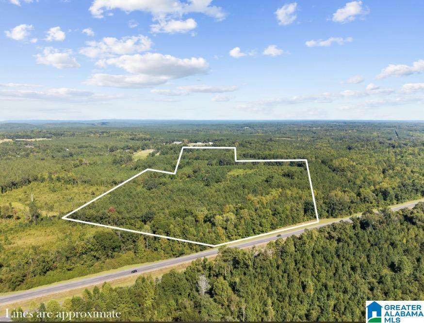 2257 Pinedale Road - Photo 1