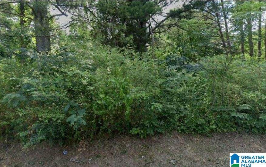 3319 Short Avenue D - Photo 1