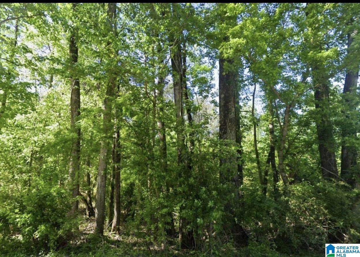 0 Jones Road - Photo 1