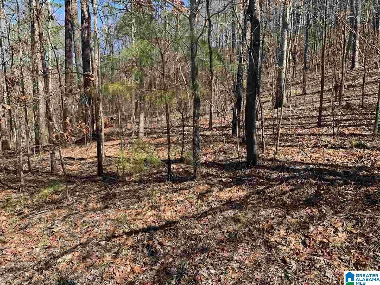 8511 Scenic Ridge Drive - Photo 1