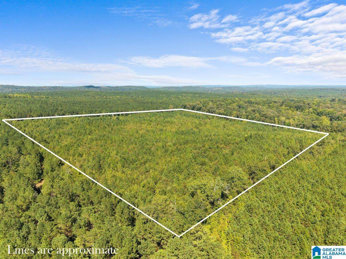 0 County Road 455 - Photo 1