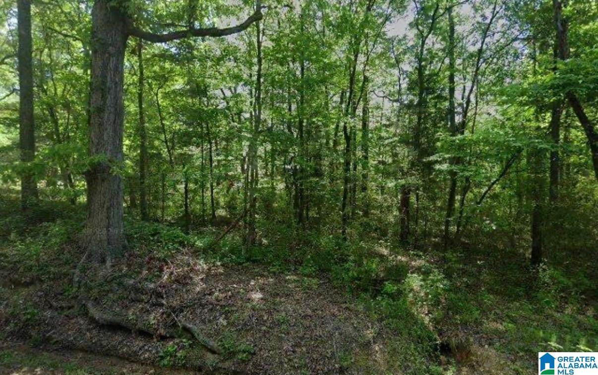 4870 Harper Road - Photo 1