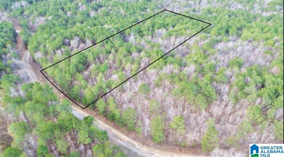 00 County Road 369 - Photo 1