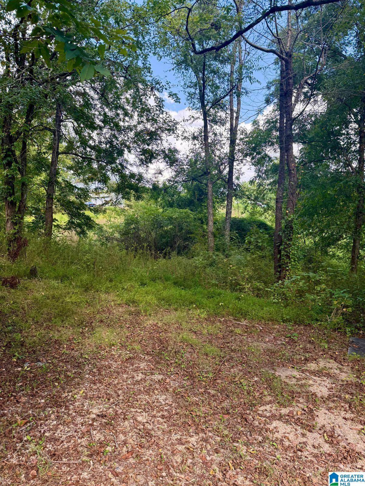 7526 Cahaba Avenue - Photo 1