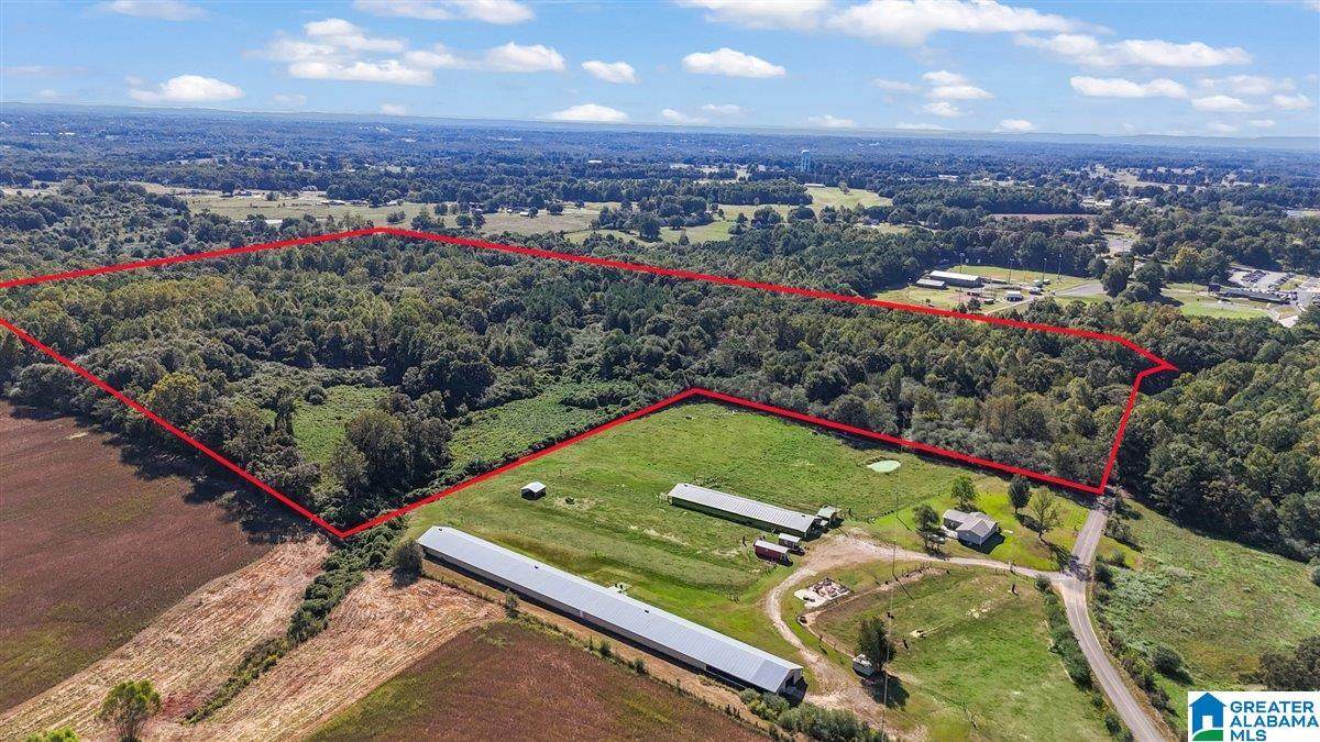 178 County Road 1559 - Photo 1