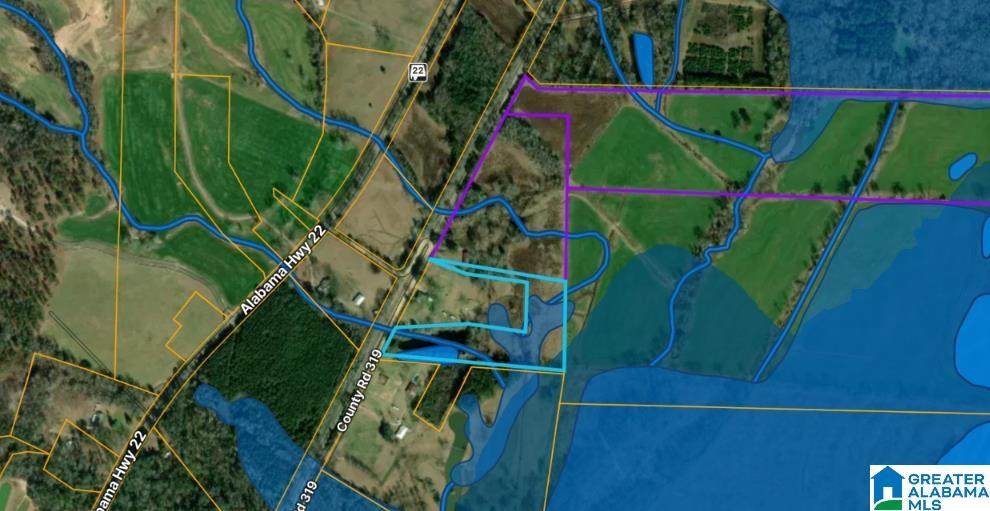 0 County Road 319 - Photo 1