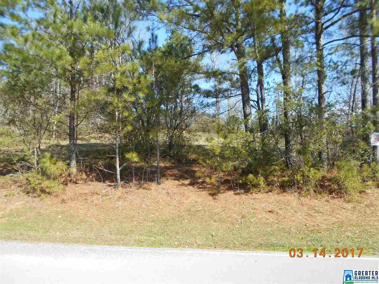 Teem Rd - Photo 1