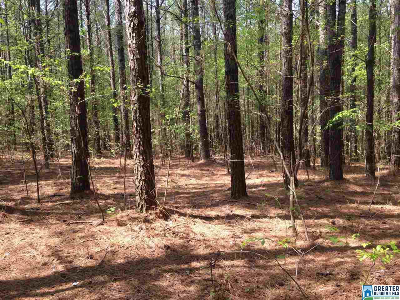 0 Co Rd 109 - Photo 1