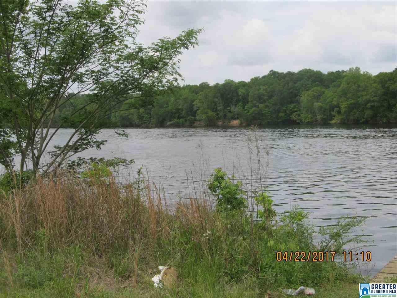 31900 Hwy 280 - Photo 1