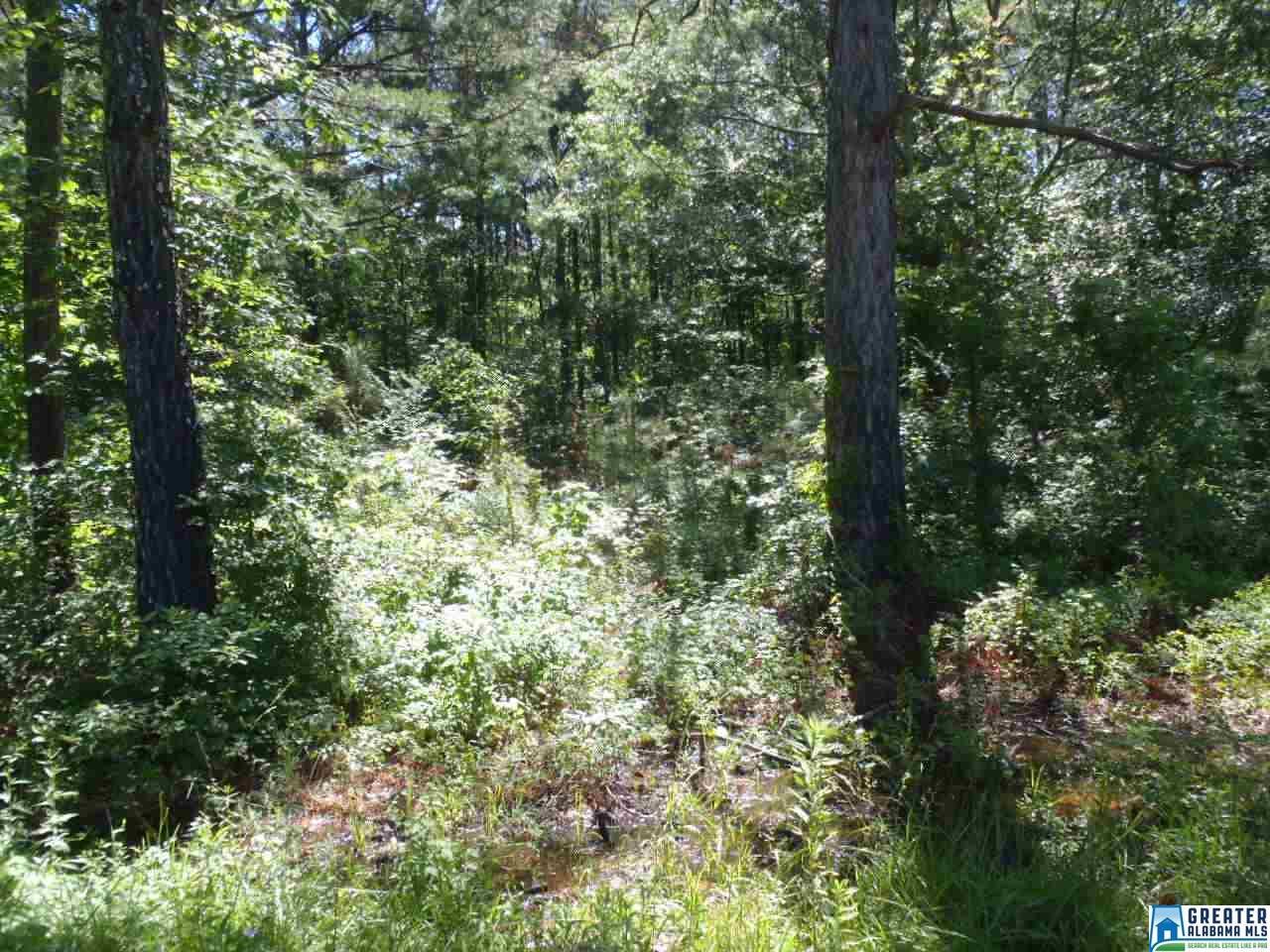 0 Morris Dr - Photo 1 0 Morris Dr - Photo 1