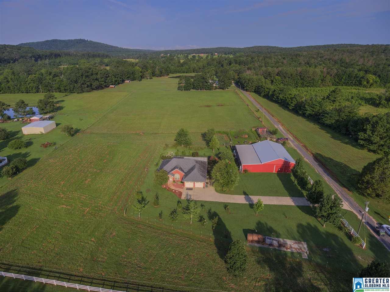 3995 Hwy 11 - Photo 1