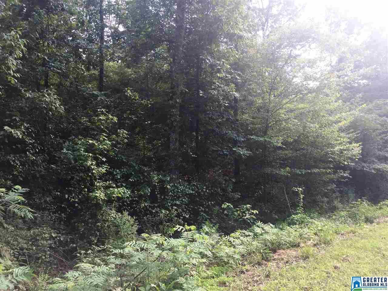 0 Colvard Dr - Photo 1 0 Colvard Dr - Photo 1