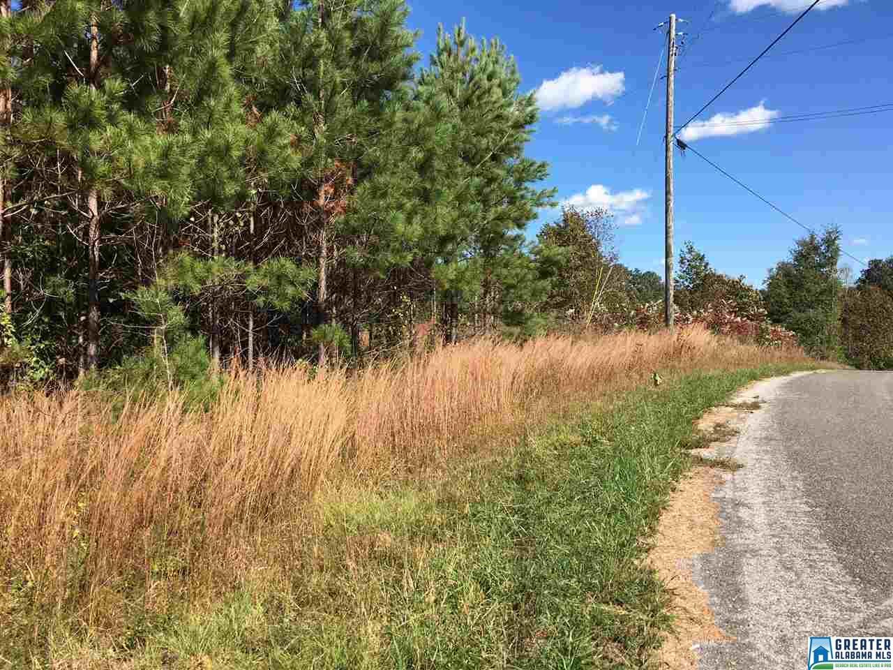 0 Rocky Ridge Rd - Photo 1
