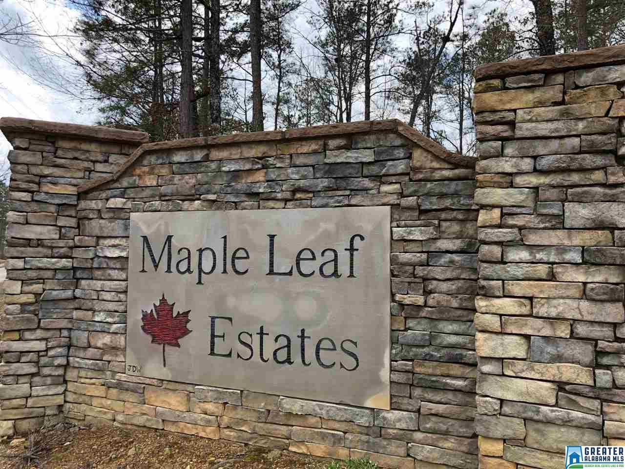 124 Maple Leaf Trl - Photo 1