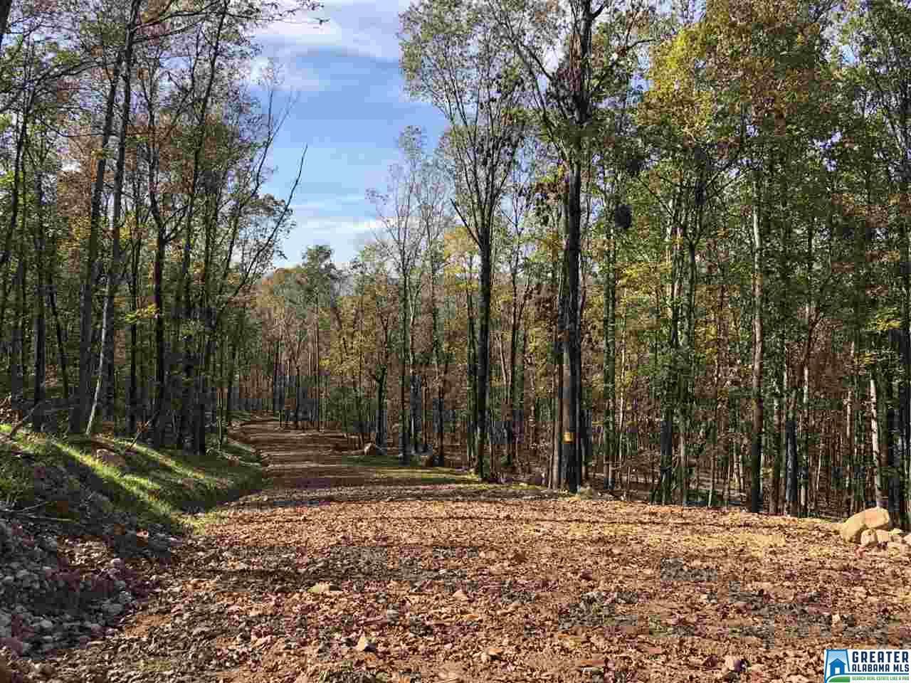 Hwy 25 - Photo 1