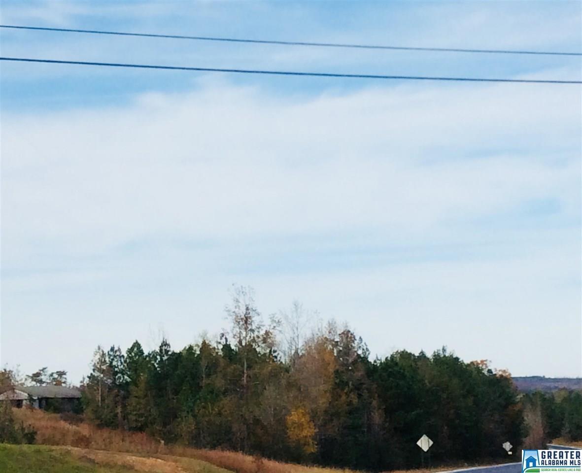 6+/- Acres Hwy 431 - Photo 1