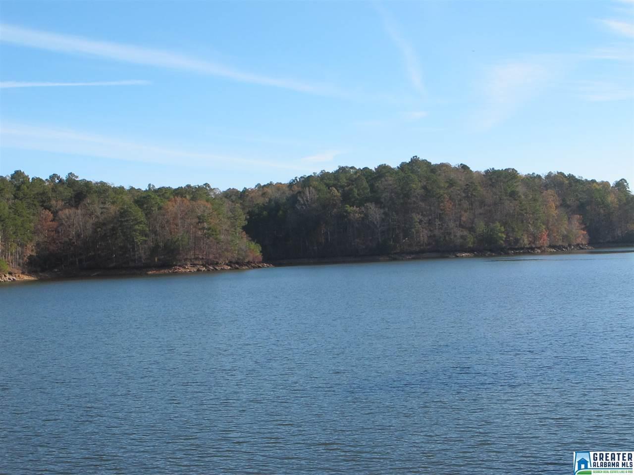 LOT Co Rd 240 - Photo 1