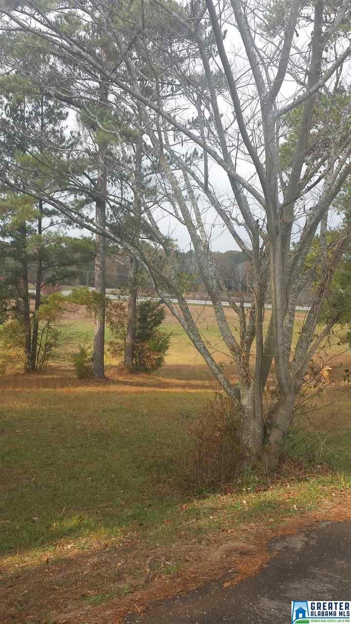 69 Reaves Dr - Photo 1