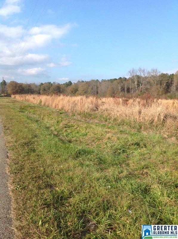 0 Lister Ferry Rd - Photo 1