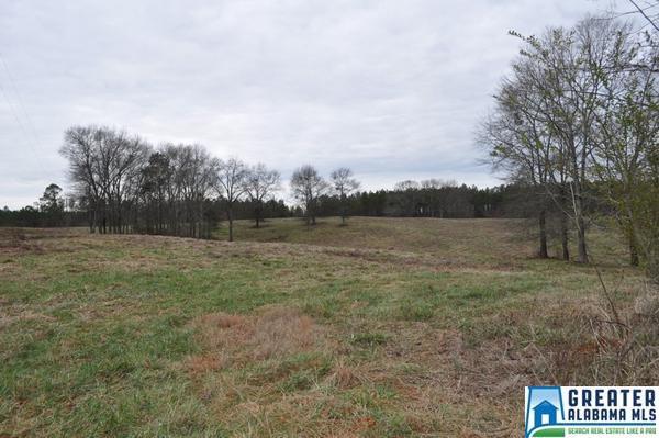 838 Co Rd 499 - Photo 1