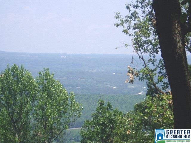20228 Co Rd 89 - Photo 1
