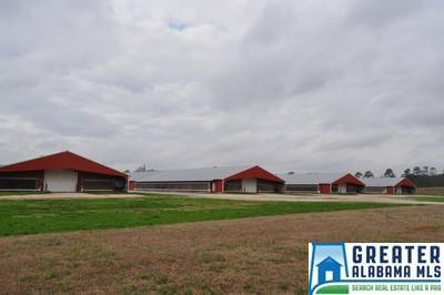 10614 Hwy 16 - Photo 1