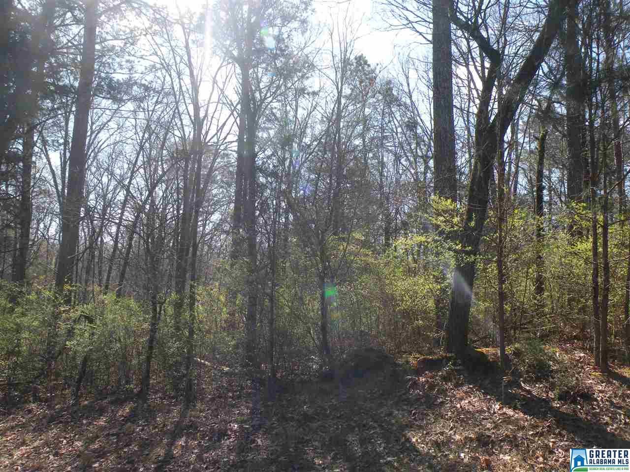 0 Angus St - Photo 1