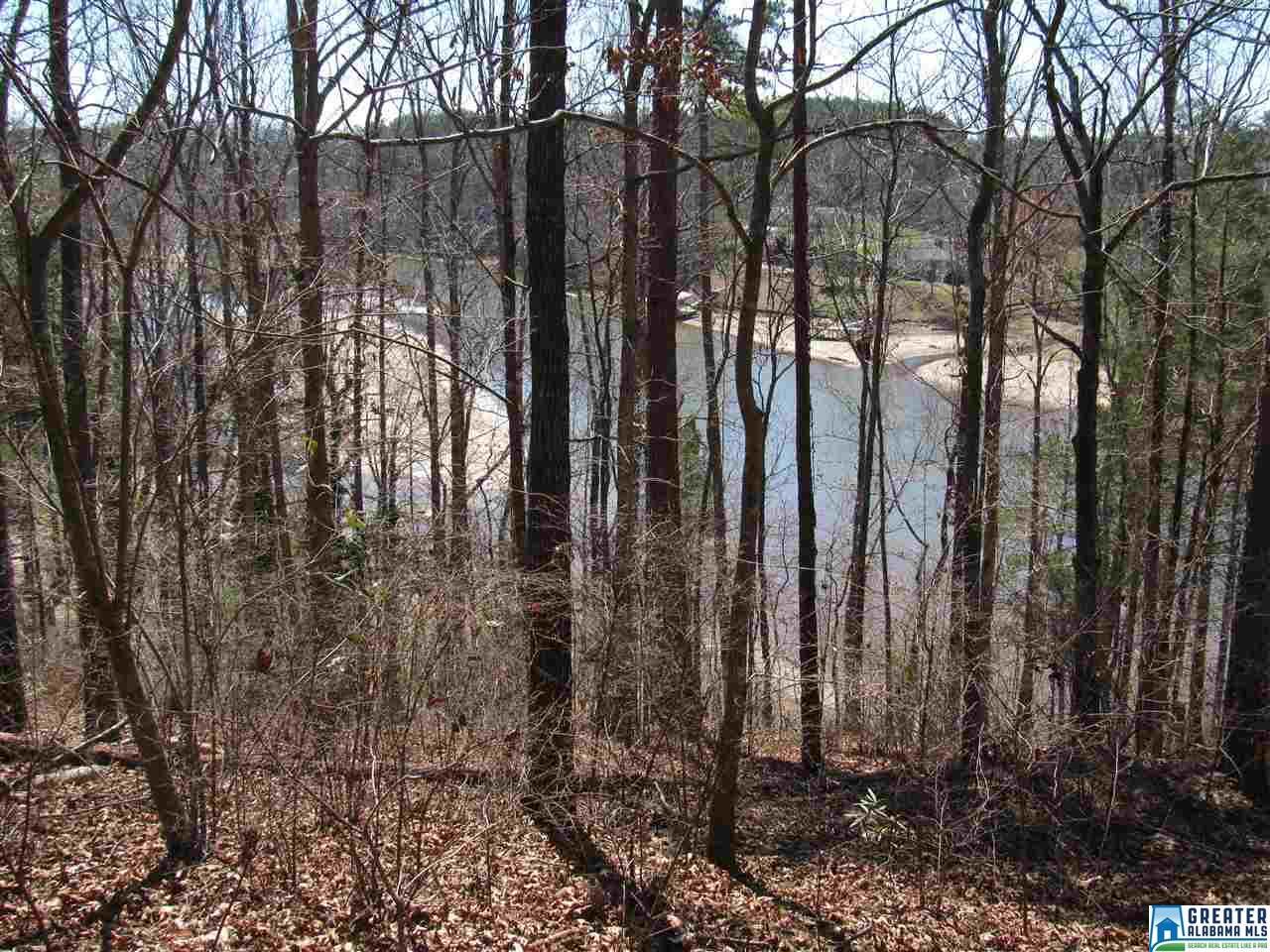 13 Rock Creek Co Rd 4312 - Photo 1