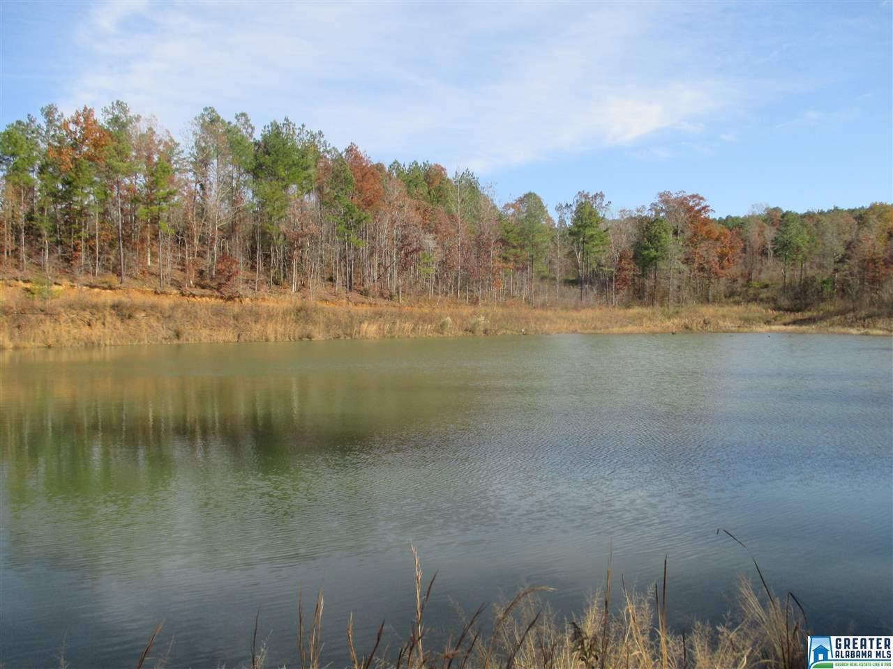 Co Rd 5 - Photo 1