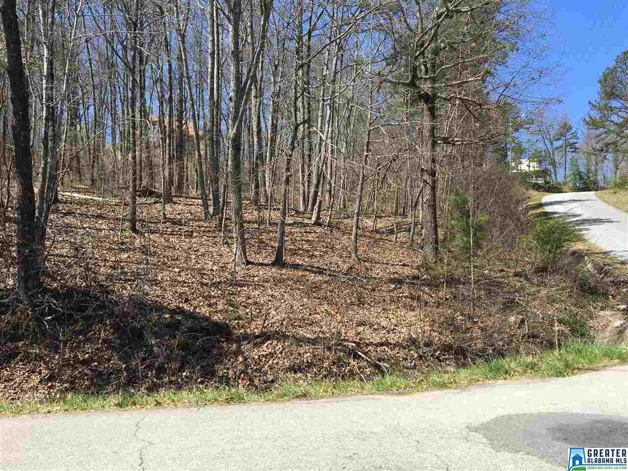 0 Shelterwood Cir - Photo 1