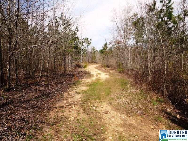 37 acres Sardis Rd - Photo 1