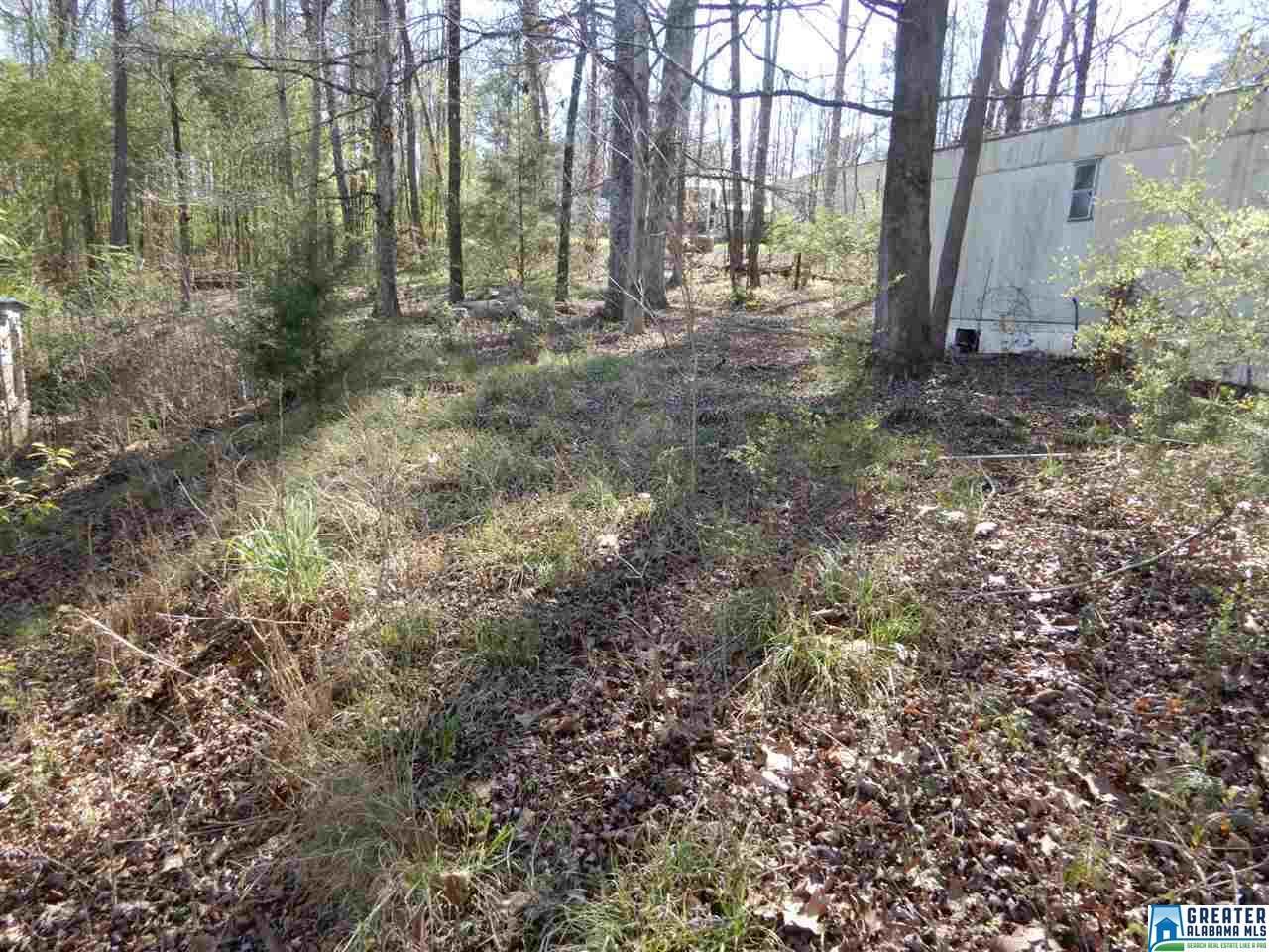 1994 Salem Rd - Photo 1