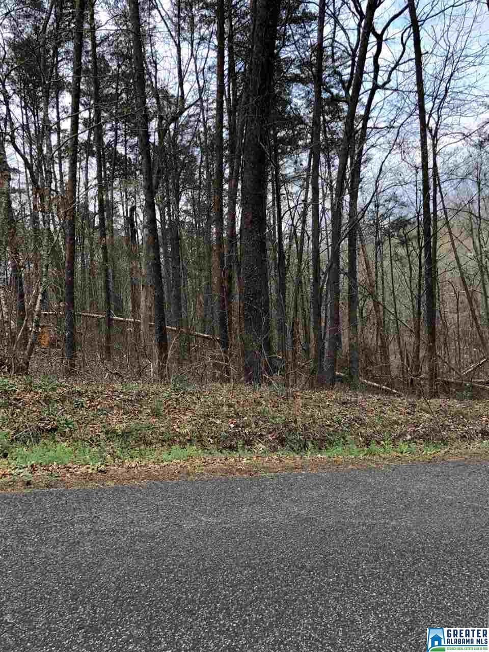 6023 William O Ln - Photo 1
