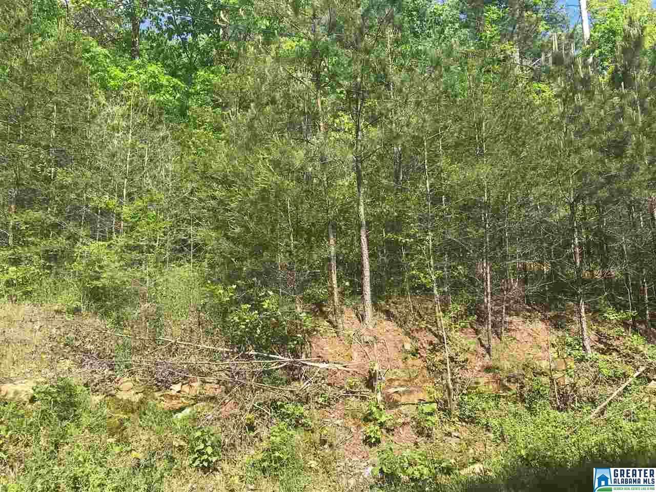 8526 Emerald Lake Dr - Photo 1
