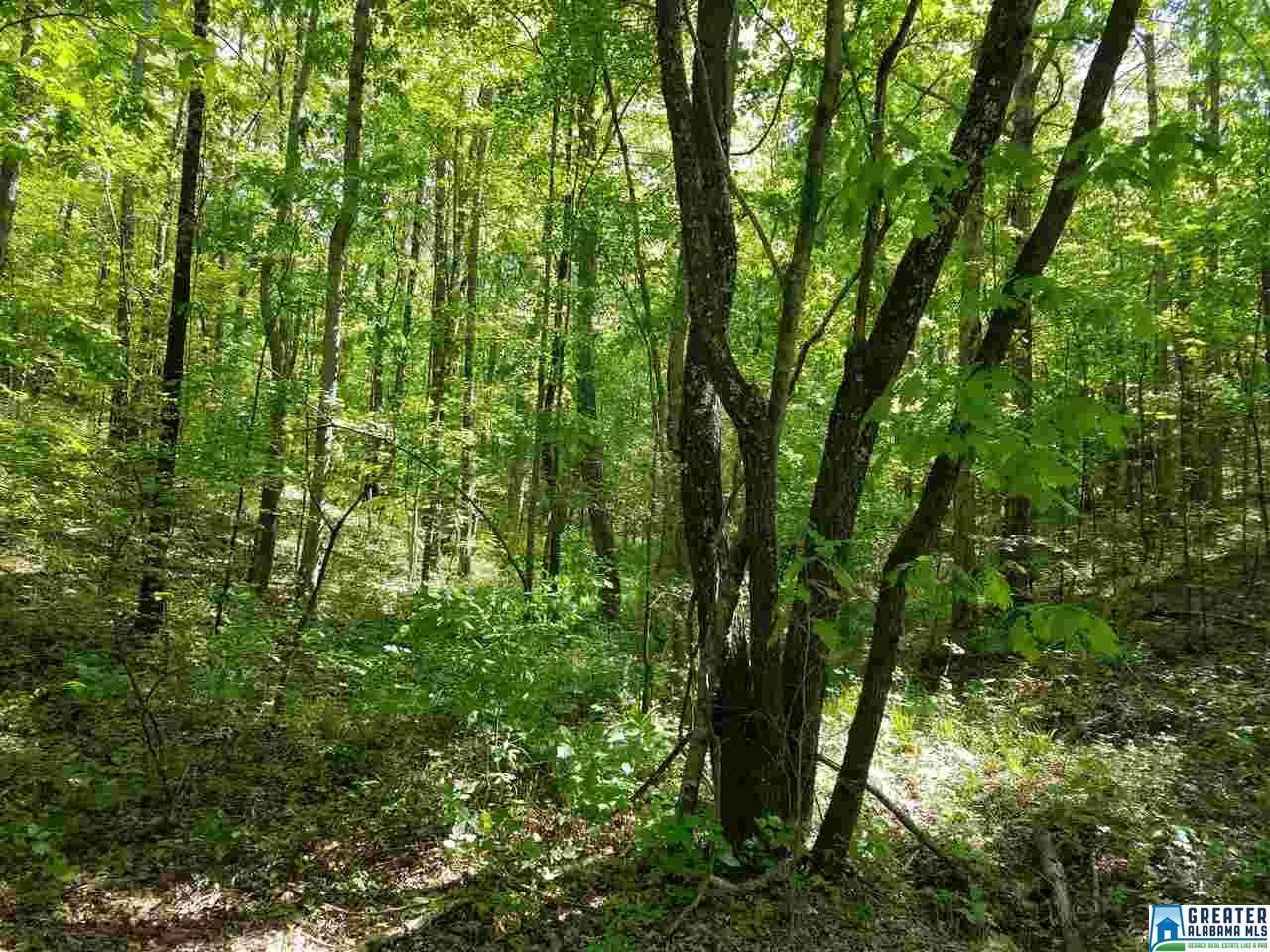 Boat Landing Rd - Photo 1