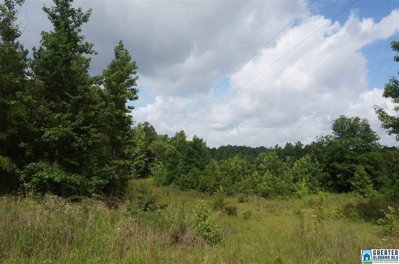 0 Co Rd 984 - Photo 1