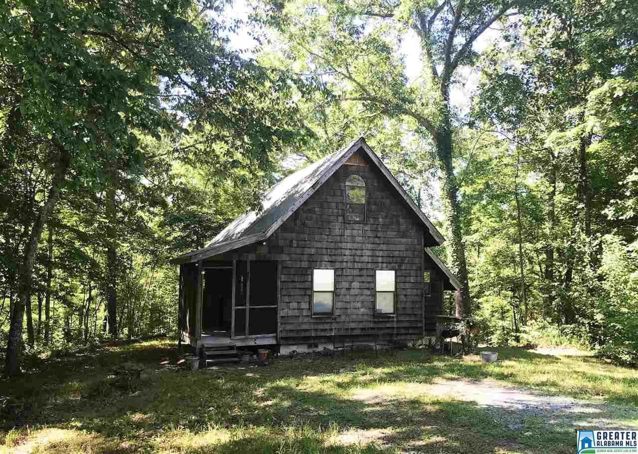 555 Cherokee Loop - Photo 1
