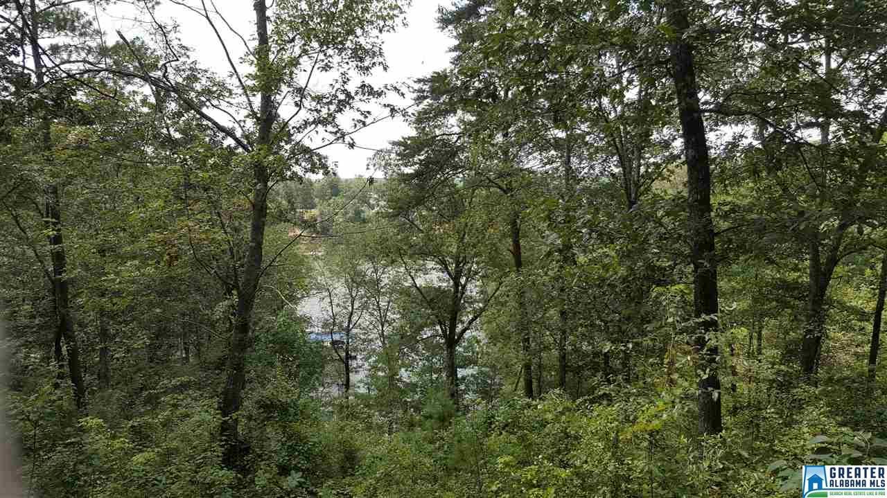 Evergreen Ct - Photo 1